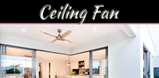 Why A Ceiling Fan Benefits Your Home During The Summer Why A Ceiling Fan Benefits Your Home During The Summer