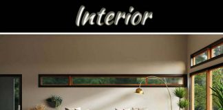 3 Tips To Transform The Interior Of Your Home 3 Tips To Transform The Interior Of Your Home