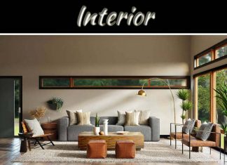 3 Tips To Transform The Interior Of Your Home 3 Tips To Transform The Interior Of Your Home