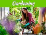 4 Trends You Need To Follow In Updating Gardening Knowledge