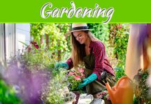 4 Trends You Need To Follow In Updating Gardening Knowledge 4 Trends You Need To Follow In Updating Gardening Knowledge