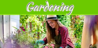 4 Trends You Need To Follow In Updating Gardening Knowledge 4 Trends You Need To Follow In Updating Gardening Knowledge