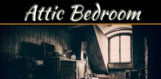 Converting Your Attic Into A Bedroom: What You Need To Consider Converting Your Attic Into A Bedroom: What You Need To Consider