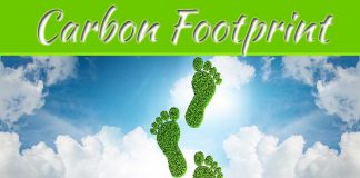 How Can I Reduce My Carbon Footprint At Home? How Can I Reduce My Carbon Footprint At Home?