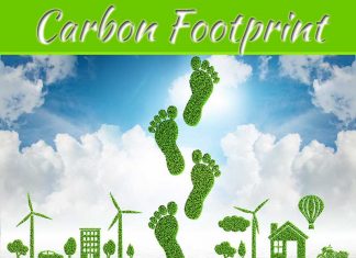 How Can I Reduce My Carbon Footprint At Home? How Can I Reduce My Carbon Footprint At Home?