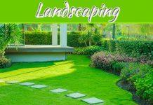 Landscape Solutions: How They Are Being Implemented? Landscape Solutions: How They Are Being Implemented?