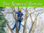 Top Ten Signs You Need Tree Service Oletha