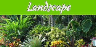 Why Does A Sustainable Landscape Matter? Why Does A Sustainable Landscape Matter?