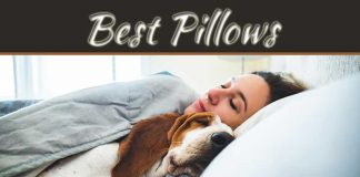 Best Pillows For People With Neck Pain 2022 Best Pillows For People With Neck Pain 2022