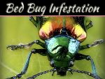 How Do I Make My Bed Bed Bug Proof? How Do I Make My Bed Bed Bug Proof?