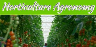 How To Get Benefit From Horticulture Agronomy Services? How To Get Benefit From Horticulture Agronomy Services?