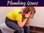 A Guide To Fixing Common Plumbing Issues With Your Toilet