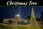 Fairybell Flagpole Christmas Tree: Transform Your Outdoor Holiday Decor Fairybell Flagpole Christmas Tree: Transform Your Outdoor Holiday Decor