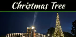 Fairybell Flagpole Christmas Tree: Transform Your Outdoor Holiday Decor Fairybell Flagpole Christmas Tree: Transform Your Outdoor Holiday Decor