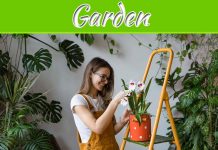 Gardening 101- Maintaining Your Garden Gardening 101- Maintaining Your Garden