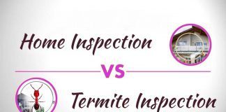 Home Inspection Vs Termite Inspection; What Is The Difference? Home Inspection Vs Termite Inspection; What Is The Difference?