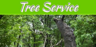 Top Ten Signs You Need Tree Service Olathe Top Ten Signs You Need Tree Service Olathe