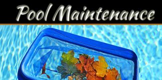 5 Tips For Autumn Pool Maintenance 5 Tips For Autumn Pool Maintenance