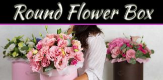 How Round Flower Box Can Be A Good Option For Gifting? How Round Flower Box Can Be A Good Option For Gifting?