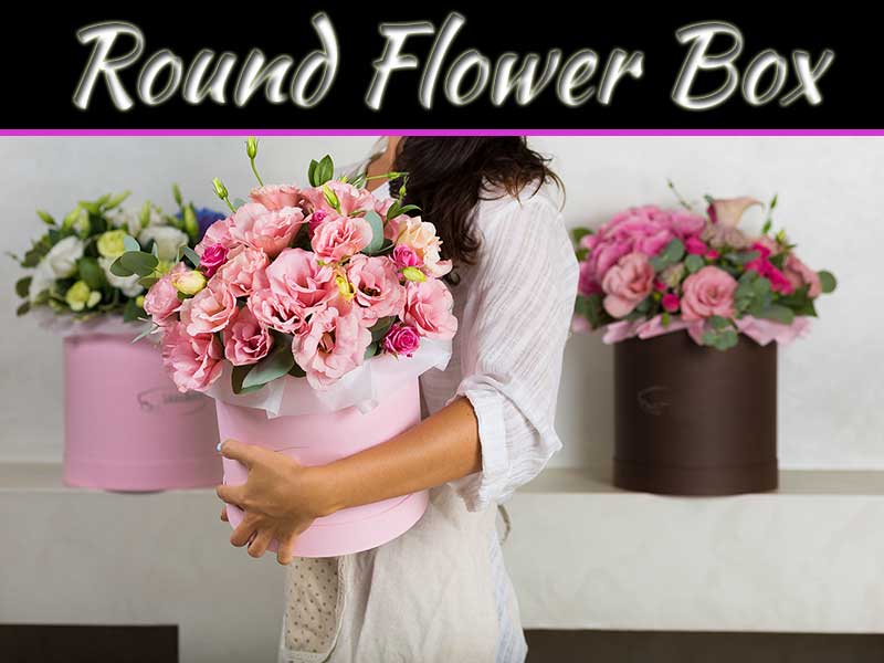 How Round Flower Box Can Be A Good Option For Gifting?