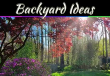 5 Best Places To Set Up A Playset In Your Backyard 5 Best Places To Set Up A Playset In Your Backyard