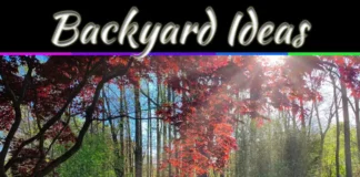 5 Best Places To Set Up A Playset In Your Backyard 5 Best Places To Set Up A Playset In Your Backyard