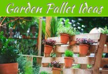 7 Crafty Pallet Ideas To Transform Your Garden 7 Crafty Pallet Ideas To Transform Your Garden