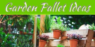 7 Crafty Pallet Ideas To Transform Your Garden 7 Crafty Pallet Ideas To Transform Your Garden