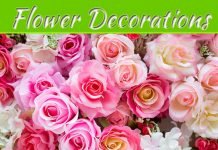 Choosing The Right Roses To Buy In Bulk Choosing The Right Roses To Buy In Bulk
