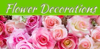 Choosing The Right Roses To Buy In Bulk Choosing The Right Roses To Buy In Bulk