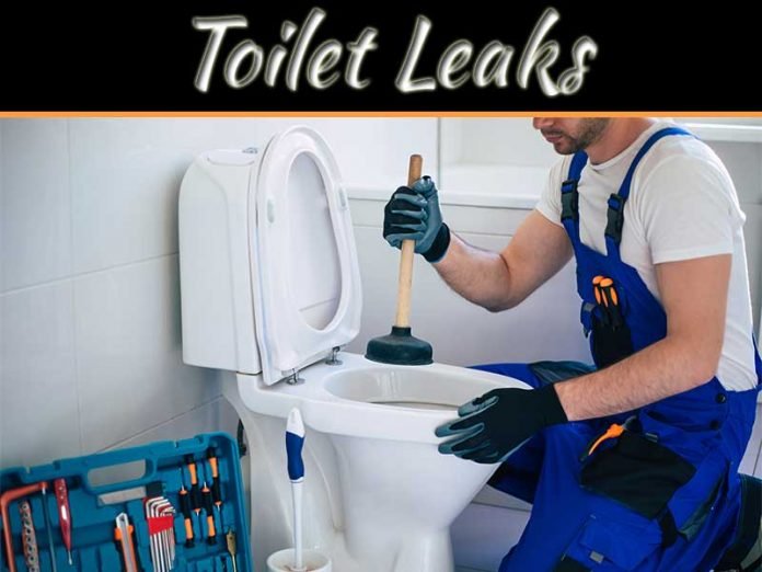 Toilet Leaks | My Decorative