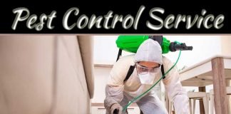 Suggestions For Selecting A Reliable Pest Management Service Suggestions For Selecting A Reliable Pest Management Service