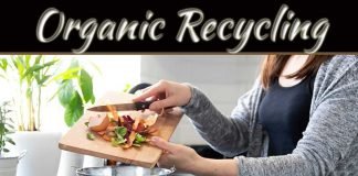 Tips For Reducing Food Waste And Why Is It Essential Tips For Reducing Food Waste And Why Is It Essential