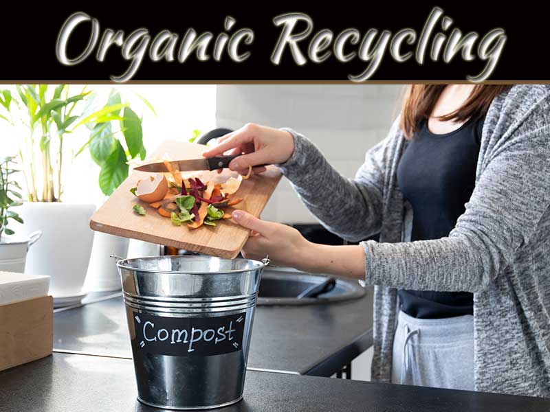Organic Recycling