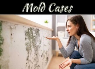 Why Does Mold Cases Go Up During The Spring And Summer Months? Why Does Mold Cases Go Up During The Spring And Summer Months?