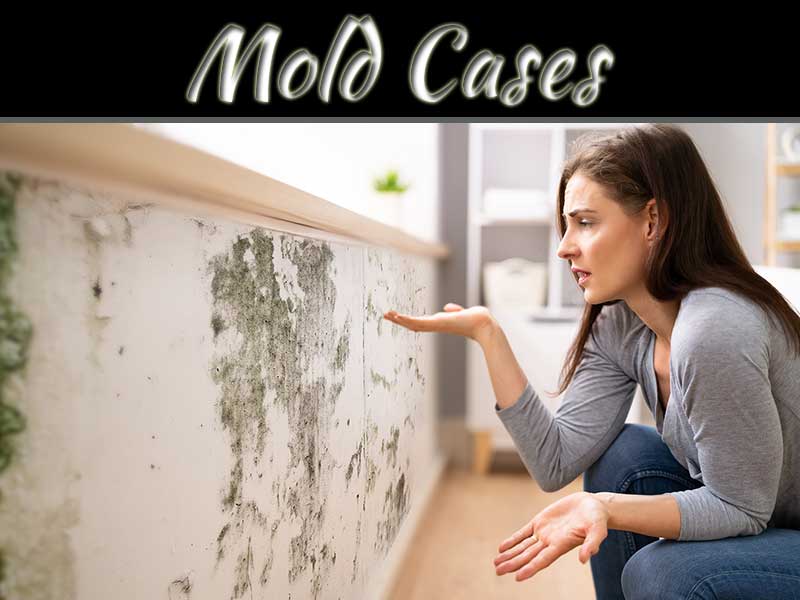 Mold Case