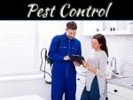 5 Questions To Ask When Choosing A Pest Control Company For Your Home