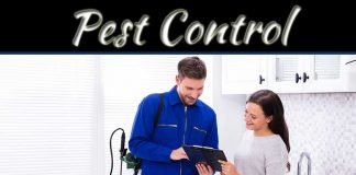 5 Questions To Ask When Choosing A Pest Control Company For Your Home 5 Questions To Ask When Choosing A Pest Control Company For Your Home
