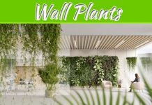 The Best Plants To Include In Your Living Wall The Best Plants To Include In Your Living Wall