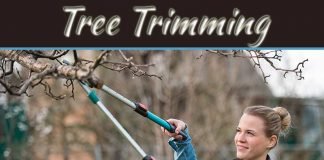 Tree Trimming Tips From The Pros: A Comprehensive Guide Tree Trimming Tips From The Pros: A Comprehensive Guide