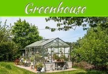 Why Choose A Polycarbonate Greenhouse? The Janssen Greenhouse Review Why Choose A Polycarbonate Greenhouse? The Janssen Greenhouse Review