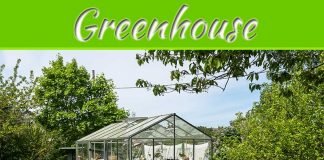Why Choose A Polycarbonate Greenhouse? The Janssen Greenhouse Review Why Choose A Polycarbonate Greenhouse? The Janssen Greenhouse Review