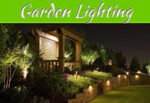 How To Transform Your Garden With Decorative Lighting How To Transform Your Garden With Decorative Lighting