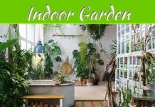 How To Choose The Right Hydroponic Indoor Garden Grow Light For Plants How To Choose The Right Hydroponic Indoor Garden Grow Light For Plants
