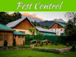 How To Deter And Prevent Mosquitoes From Breeding In Your Yard How To Deter And Prevent Mosquitoes From Breeding In Your Yard