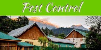 How To Deter And Prevent Mosquitoes From Breeding In Your Yard How To Deter And Prevent Mosquitoes From Breeding In Your Yard