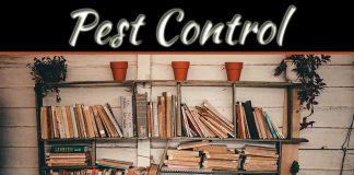 Pest Control Maryville TN For Silverfish: Protecting Your Books And Documents Pest Control Maryville TN For Silverfish: Protecting Your Books And Documents