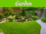 Starting A Successful Garden From Scratch Starting A Successful Garden From Scratch