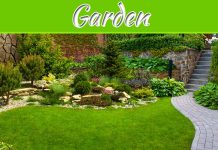Starting A Successful Garden From Scratch Starting A Successful Garden From Scratch