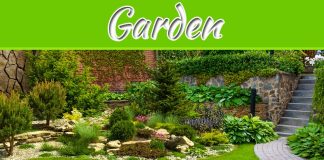 Starting A Successful Garden From Scratch Starting A Successful Garden From Scratch